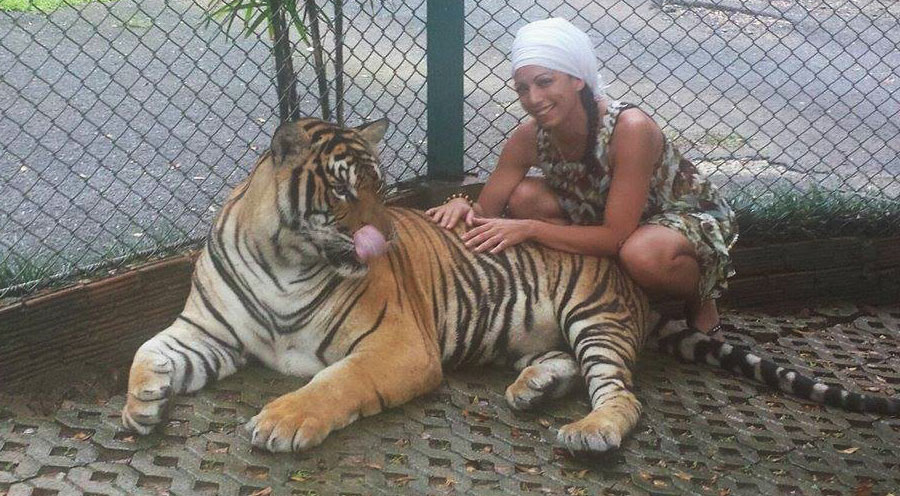 sensationsvoyage-voyage-thailande-chiang-mai-tigre-tiger