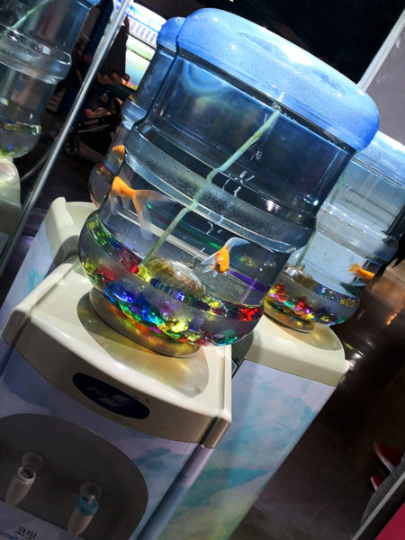 COEX Aquarium sensations voyage expériences bons plans que faire à Séoul visite 