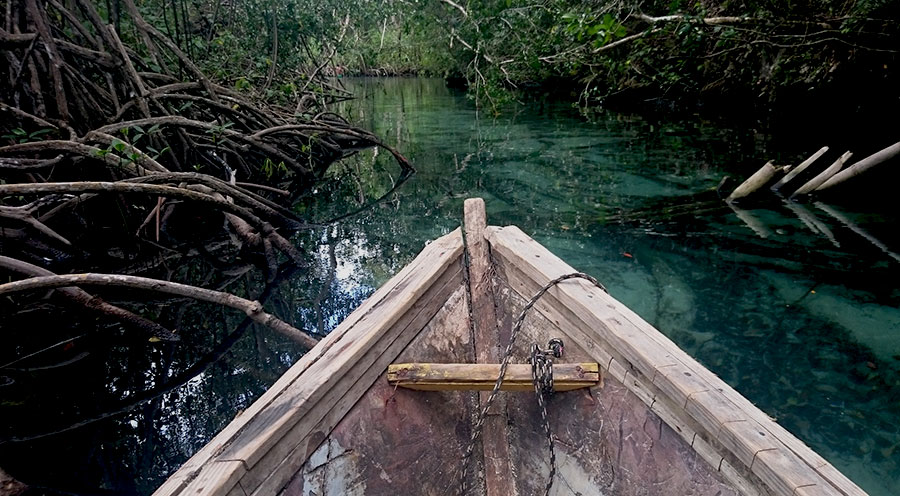 sensationsvoyage-sensations-voyage-experiences-bons-plans-top-10-république-dominicaine-que-faire-incotournables-mangrove-las-terrenas