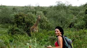 sensations-voyage-album-photos-giraffe-safari