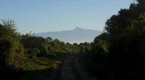 sensations-voyage-album-photos-kenya-aberdades-national-park-buffalo-treetops-landscape-mont