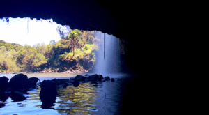 sensations-voyage-album-photos-kenya-aberdades-national-park-mont-kenya-safari-treetops-queen-s-cave-'