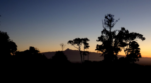sensations-voyage-album-photos-kenya-aberdades-national-park-mont-kenya-sundown