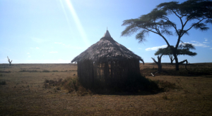 sensations-voyage-album-photos-kenya-walking-safari-naivasha-cabane-crescent-island-3