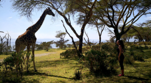 sensations-voyage-album-photos-kenya-walking-safari-naivasha-giraffe-sleepy-crescent-island-5