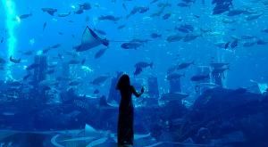 sensations-voyage-dubai-atlantis-lost-chamber-aquarium
