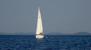 sensations-voyage-sensationsvoyage-croatia-dolphin-watch-pakostane-sunset-croatie-voilier