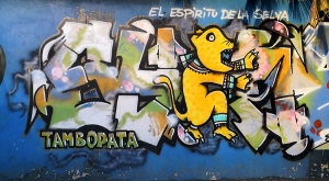 sensations-voyage-sensationsvoyage-perou-peru-blog-amazonie-amazonia-puerto-maldonado-streetart-graffitis-tambopata