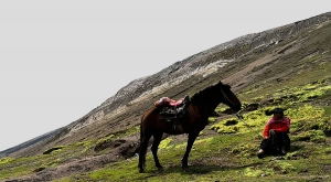 sensations-voyage-sensationsvoyage-perou-peru-cusco-cuzco-rainbow-mountain-cheval-3