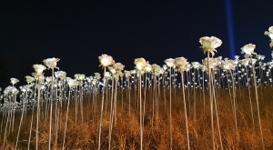 sensations-voyage-voyages-coree-du-sud-korea-seoul-tower-tour-night-nuit-flowers