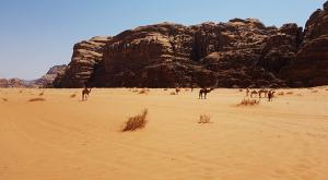 sensationsvoyage-sensations-voyage-jordanie-jordan-photos-wadi-rum-desert-camel-chameau