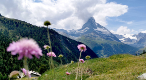 sensationsvoyage-sensations-voyage-photo-photos-zermatt-matterhorn-mont-cervin-suisse-switerland-montagne