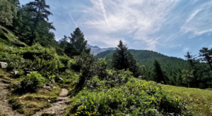 sensationsvoyage-sensations-voyage-photo-photos-zermatt-nature-landscape-paysage-2