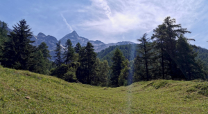sensationsvoyage-sensations-voyage-photo-photos-zermatt-nature-landscape-paysage
