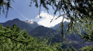 sensationsvoyage-sensations-voyage-photo-photos-zermatt-nature-randa-nature