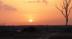 sensationsvoyage-voyage-sri-lanka-photos-sunset-safari-yala